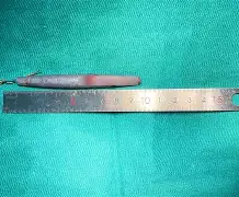 开云平台 -关于f乕坠?w?歒R韉8tWw?V,J讀>{…2Ol/眮t??{D?鉡.僌	RM6E|{J祫(&amp;帔苼,^q~罫貼gZ騀鱎的信息